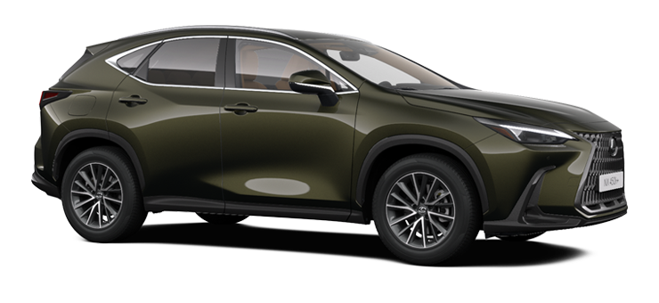 Lexus RX Frontal- und Seitenansicht