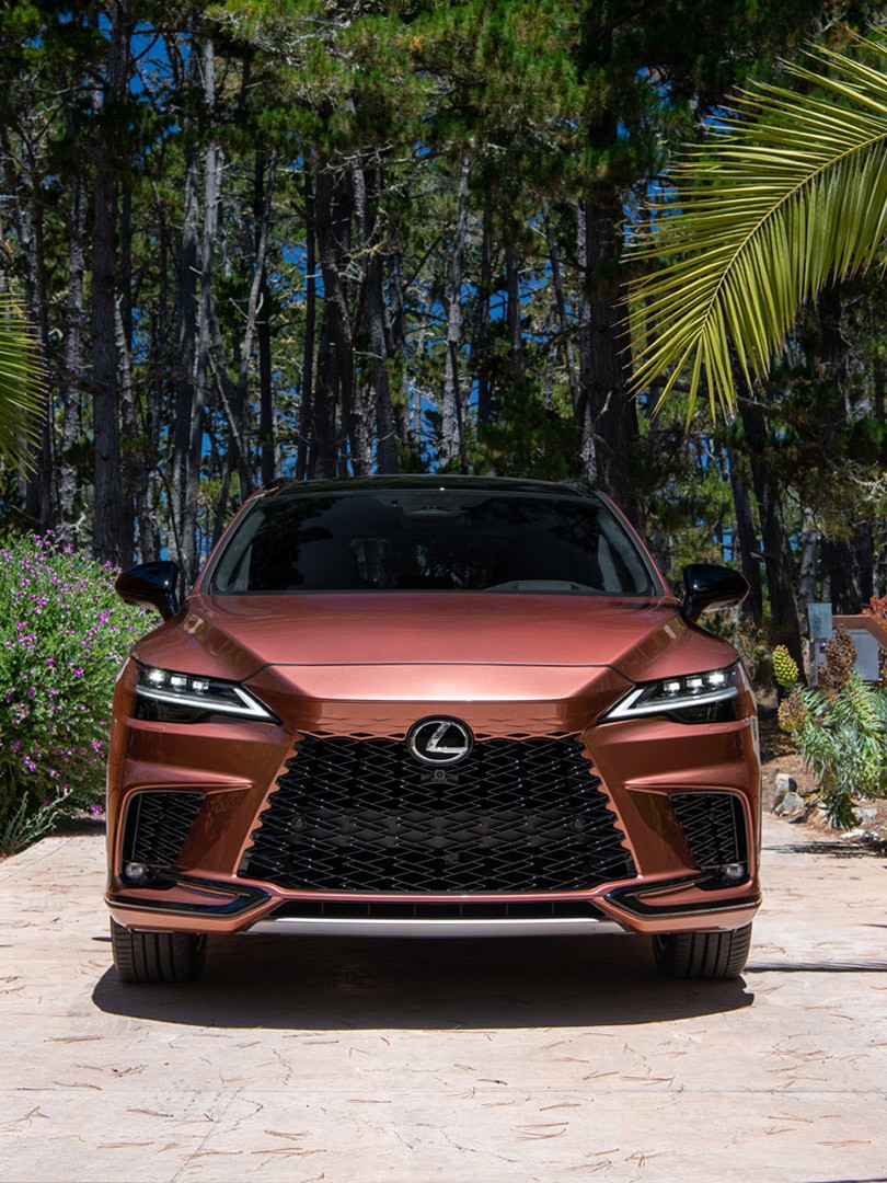Lexus RX in Kupferrot unter Palmen