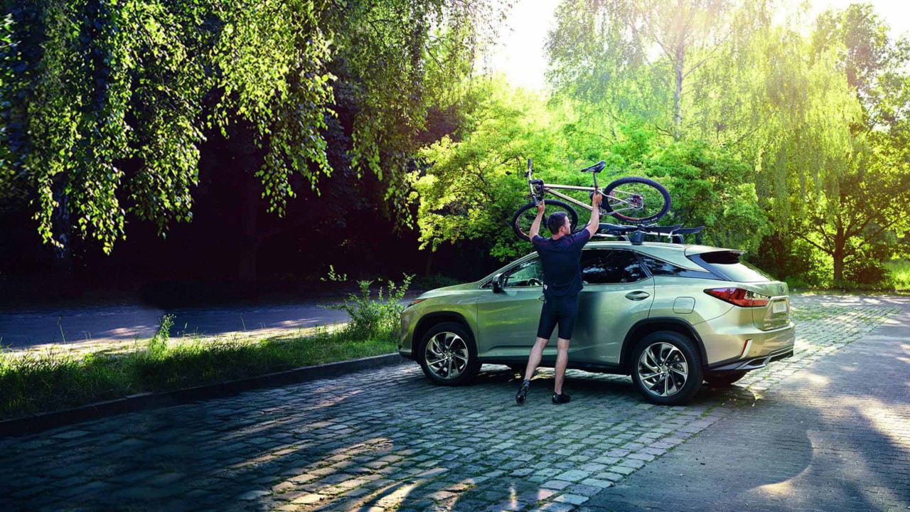 Mann im Wald mit Grünem Lexus 450h und Fahrrad auf dem Dach