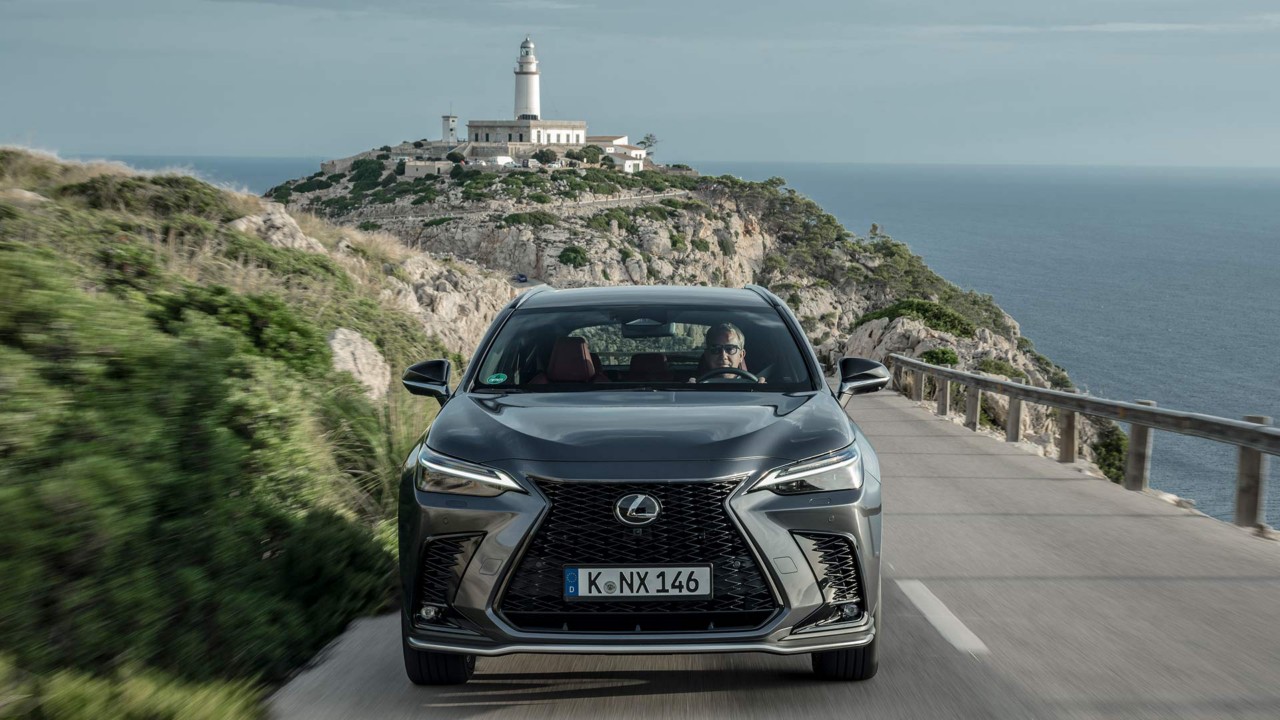 Lexus NX grau