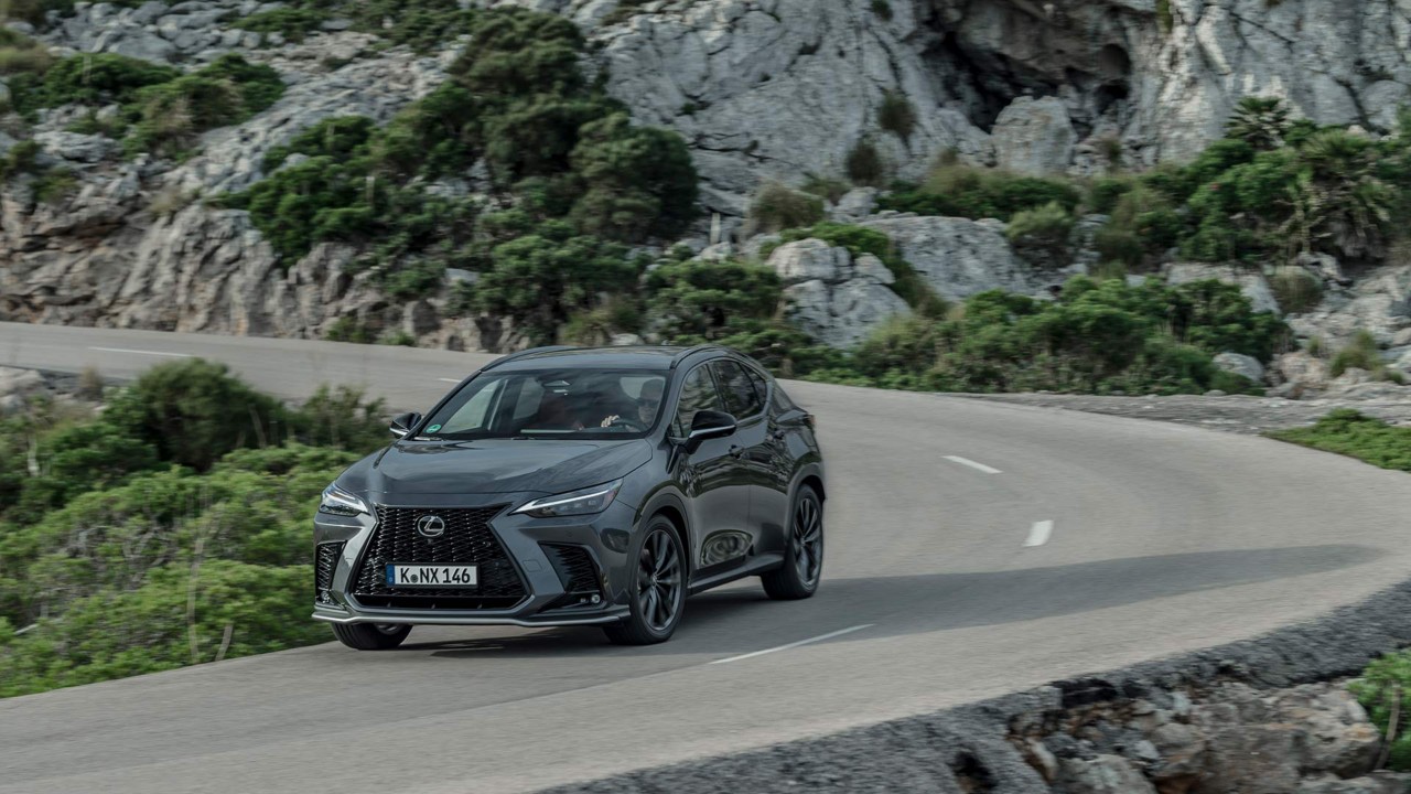 Lexus NX grau