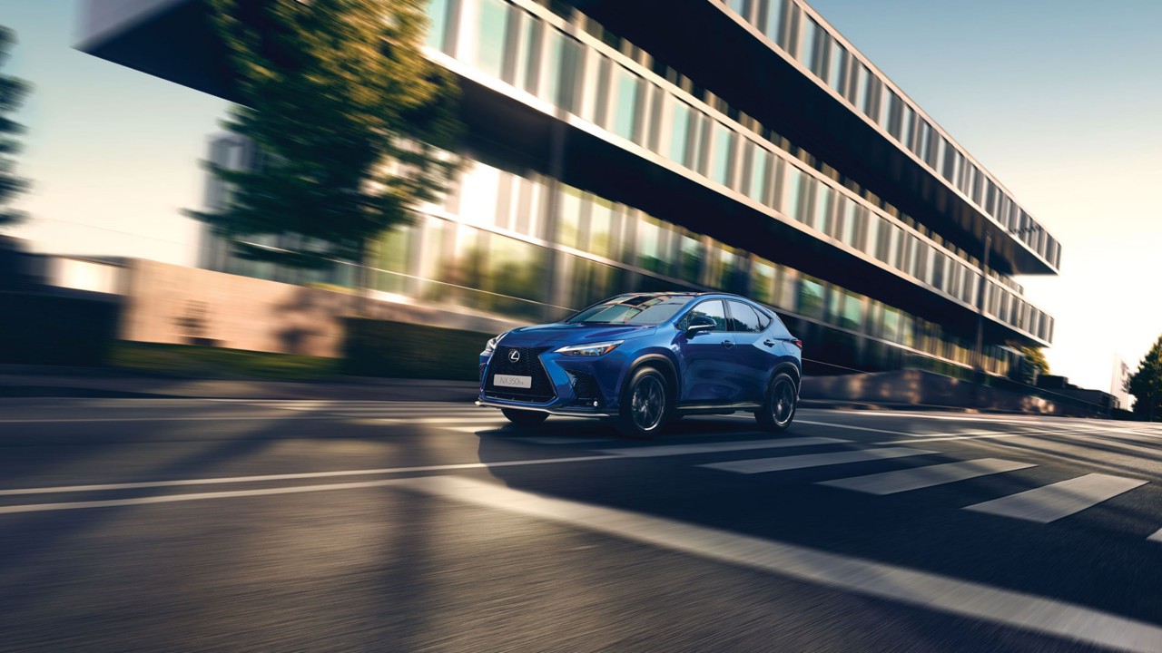Lexus NX grau
