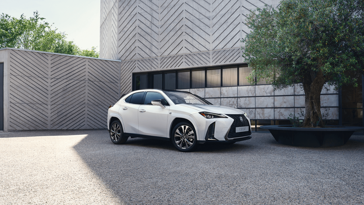 Lexus UX 250h parkt