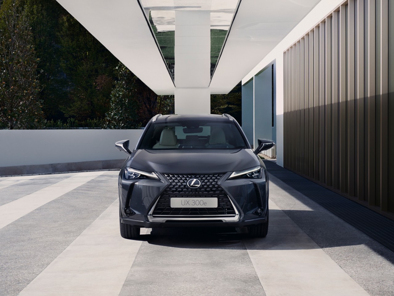 Lexus UX 300e